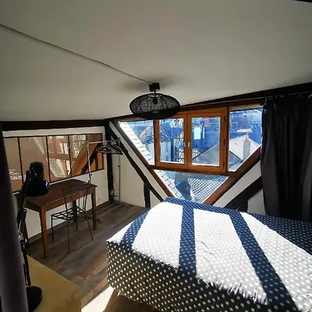 Les Toits De ✧ Atypique Et Familial Διαμέρισμα Ρουέν