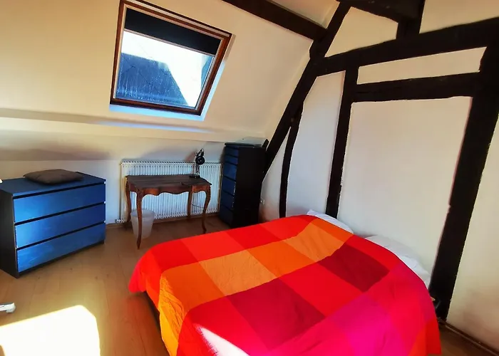 Les Toits De ✧ Atypique Et Familial